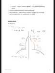 notatki anatomia lekarski UMP