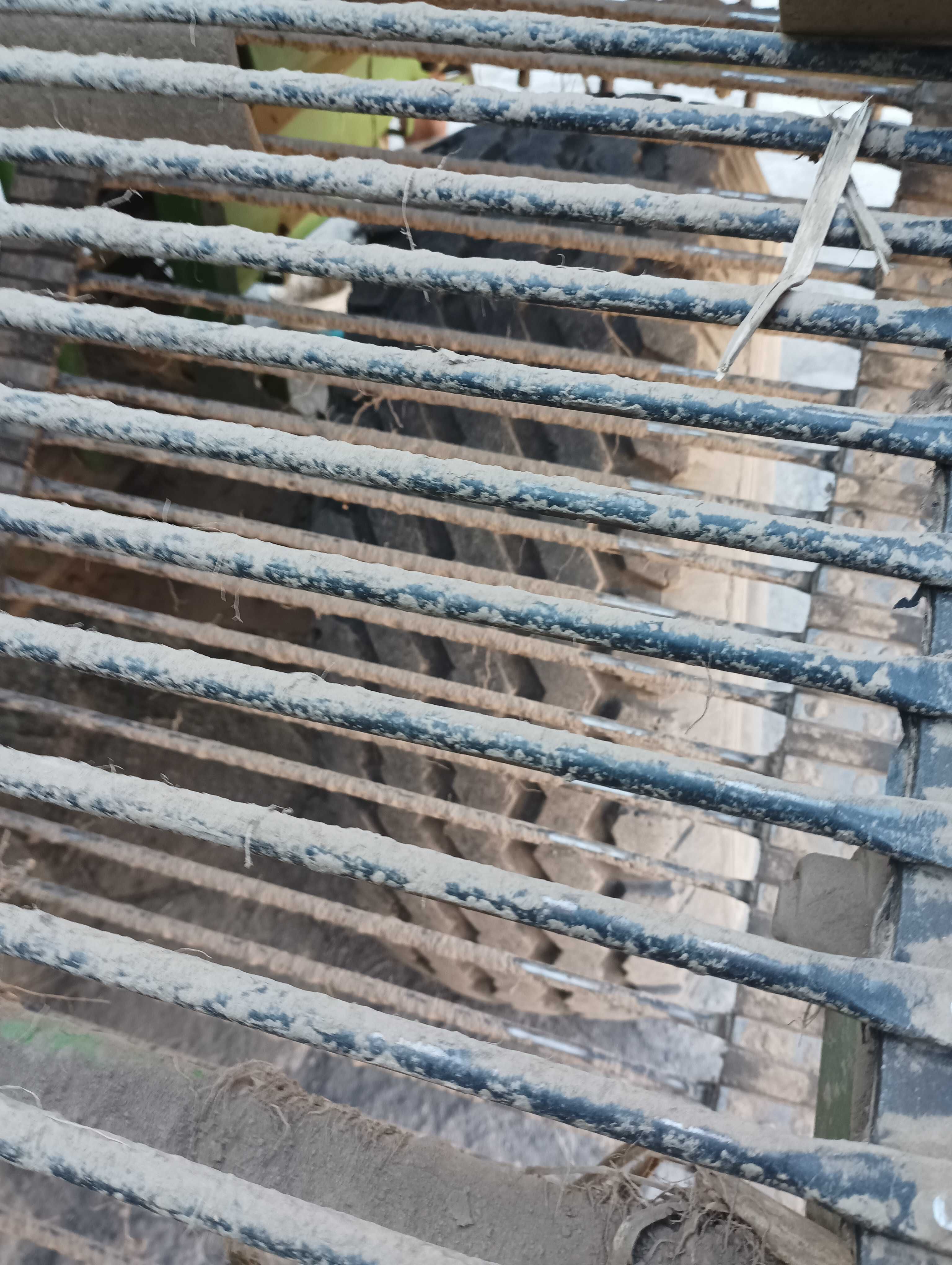 Kombajn do ziemniaków Wuhlmaus 1033
