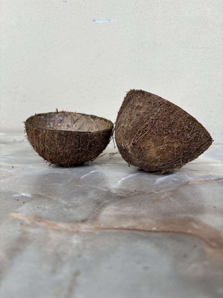 Скорлупа шкаралупа орех кокоса кожура кокос кокосу