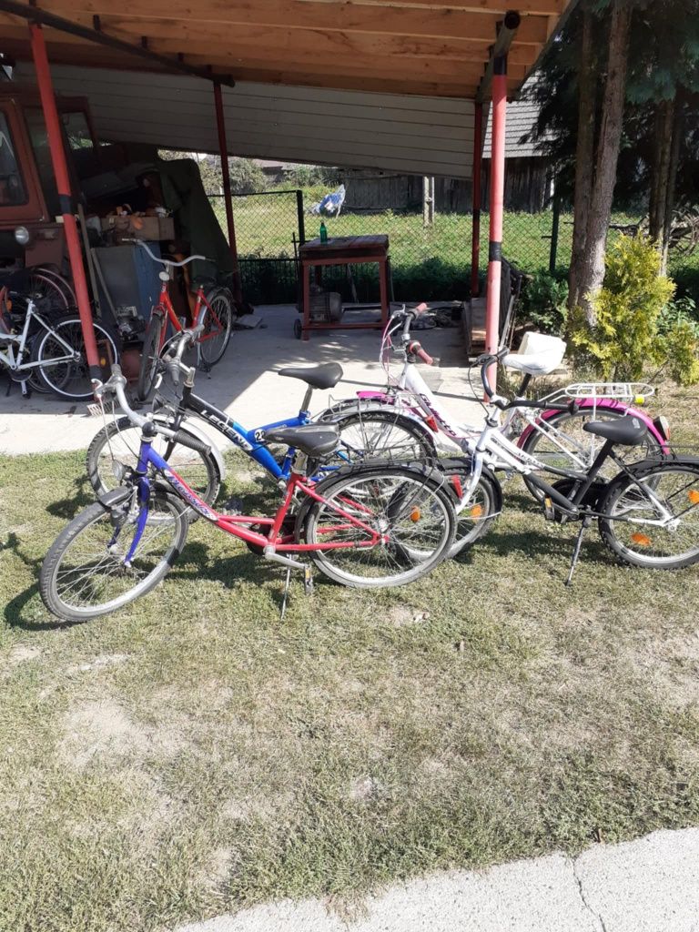 Kolekcja  rowerów górskich
