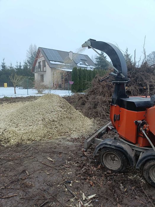 Zrębka drzewna transport w cenie
