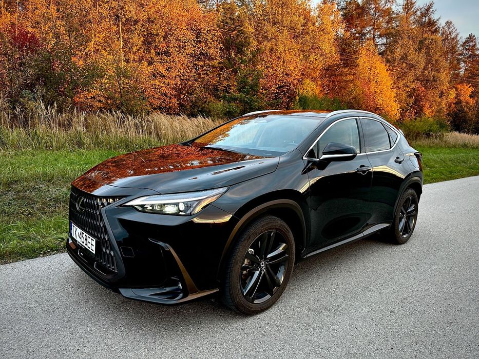 Lexus NX Lexus NX350h Salon Polska stan idealny 2024