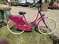 Rower holenderka