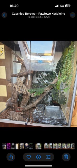 terrarium dla zwierząt