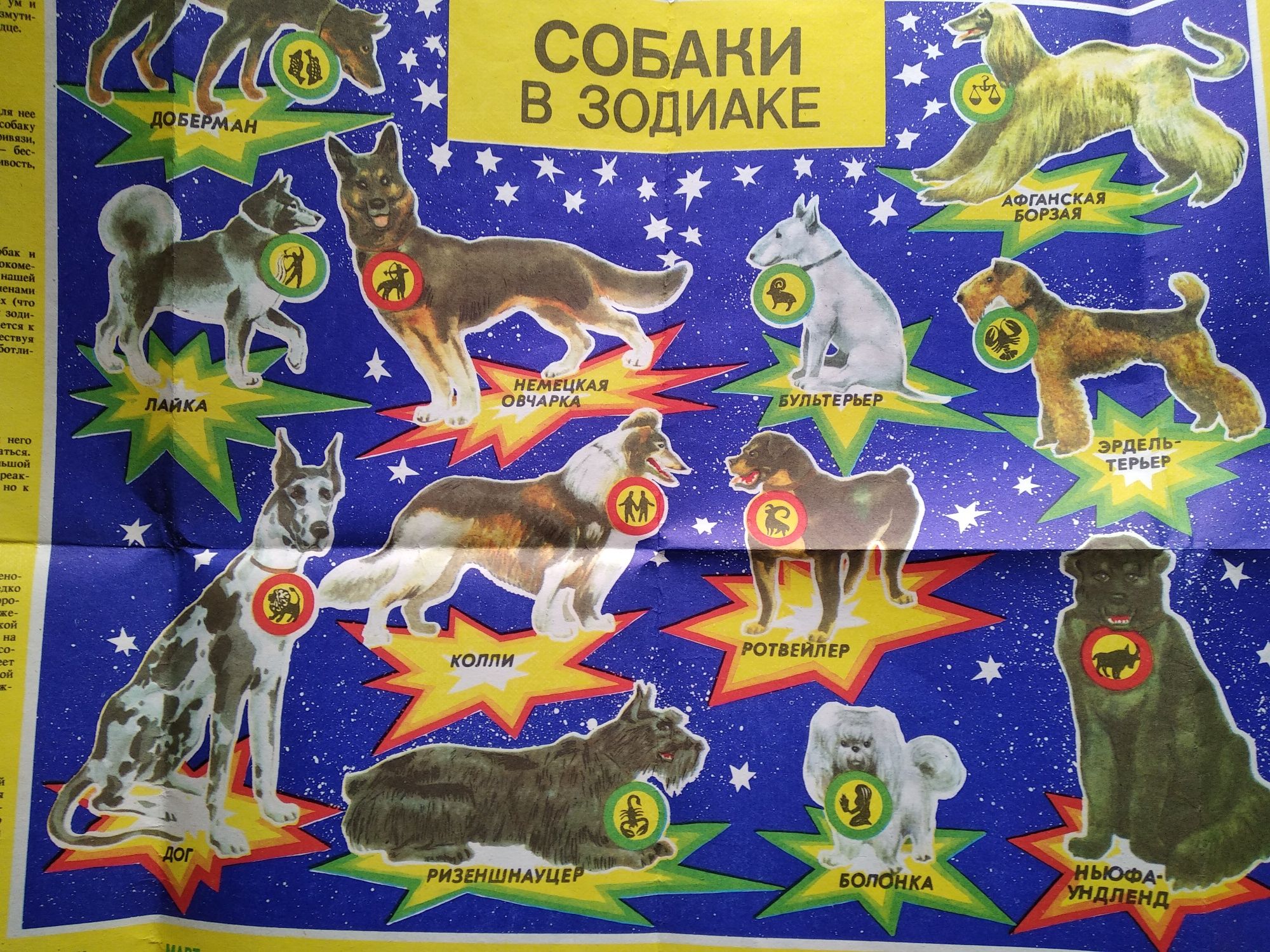 Календарь 1994г. "Собаки в зодиаке"