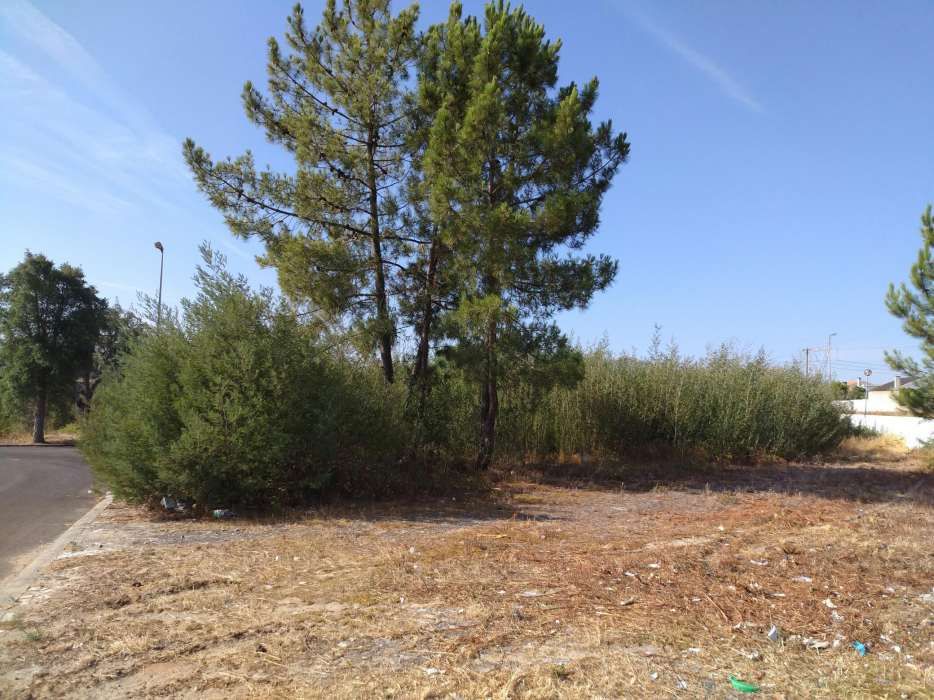 Terreno urbano - S. Miguel do Rio Torto