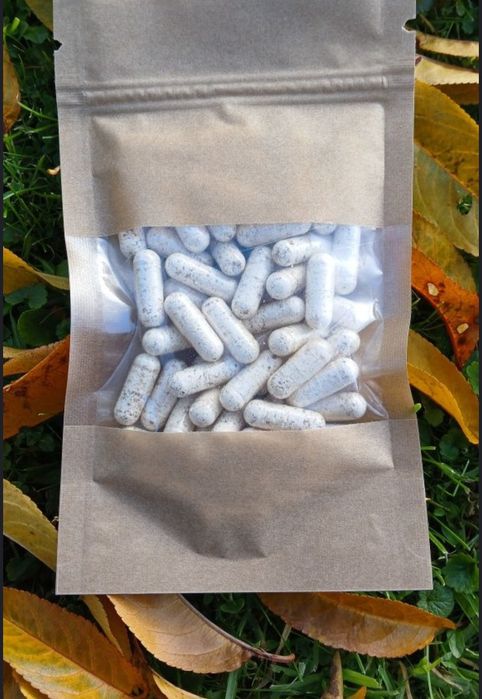 Kapsułki ziołowe z białoporka brzozowego