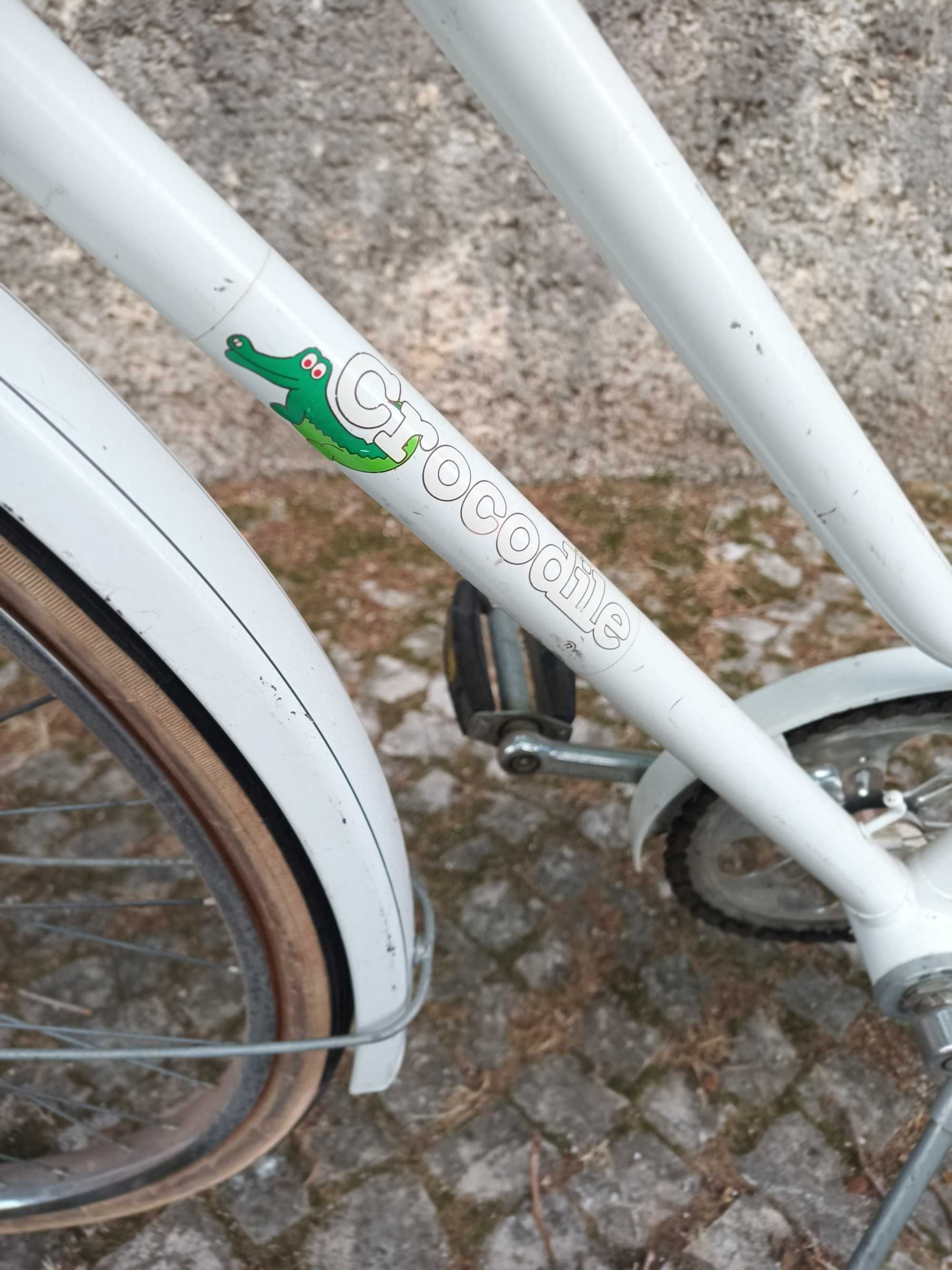 Bicicleta vintage senhora