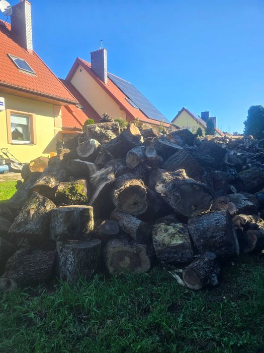 Drewno opałowe sosnowe