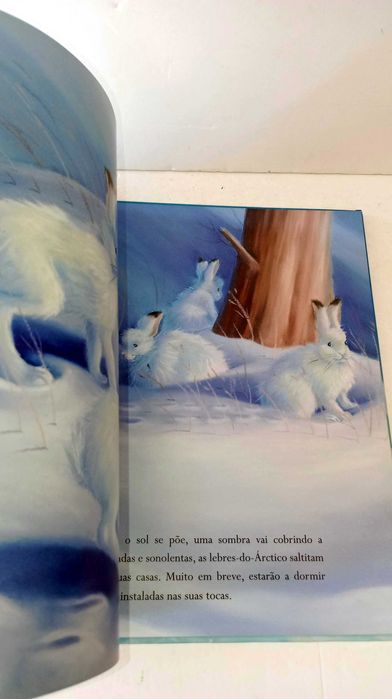 Onde a Neve Cai - Ed. Educação Naciona