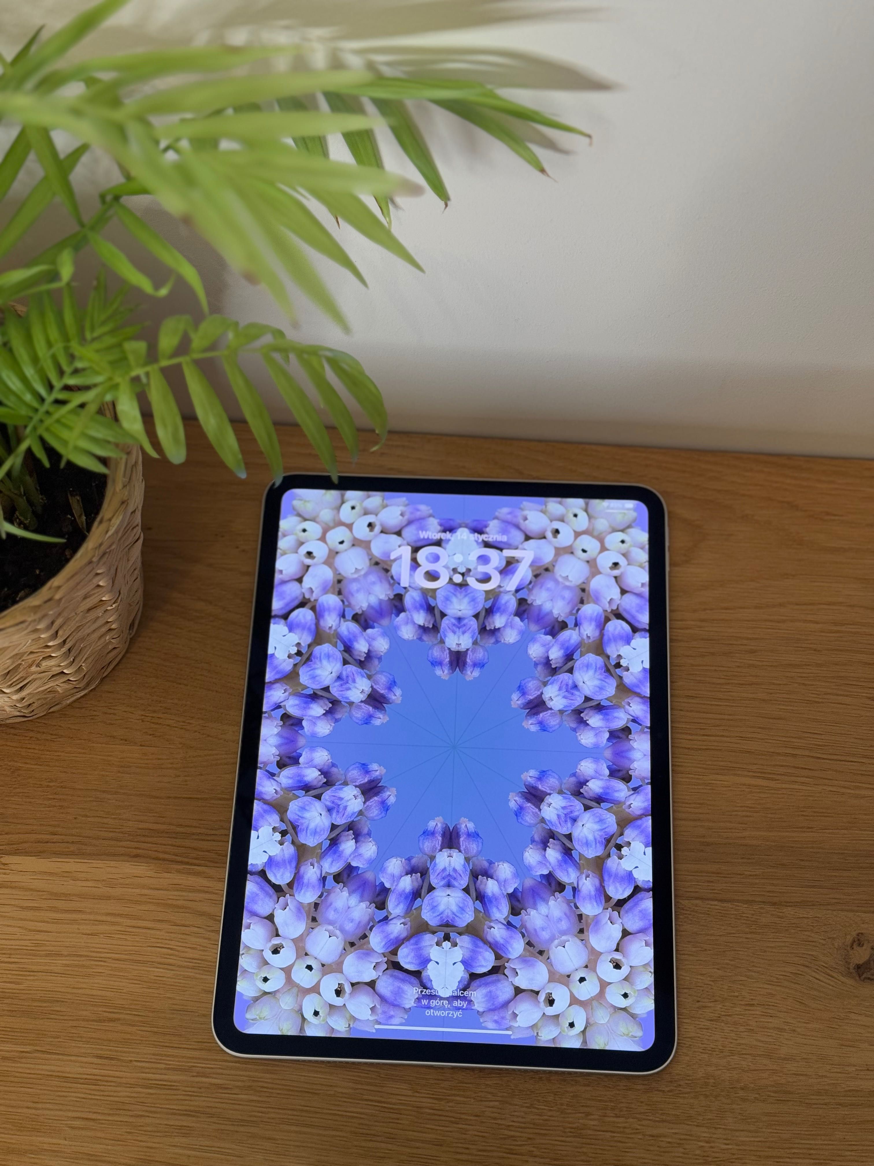 Apple iPad Pro 11” 5 Generacja M4 256GB Wi-Fi Silver