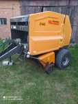 Sprzedam prase warfama z-543