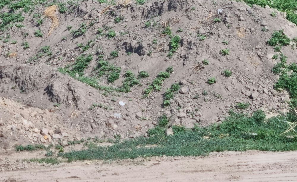 Ziemia , Urobek z wykopu za darmo