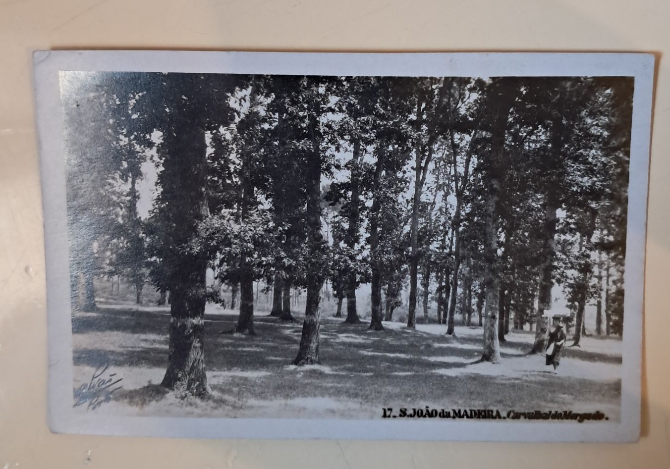 Postais Diversos preto e branco, Valença, Bussaco S. João da Madeira.
