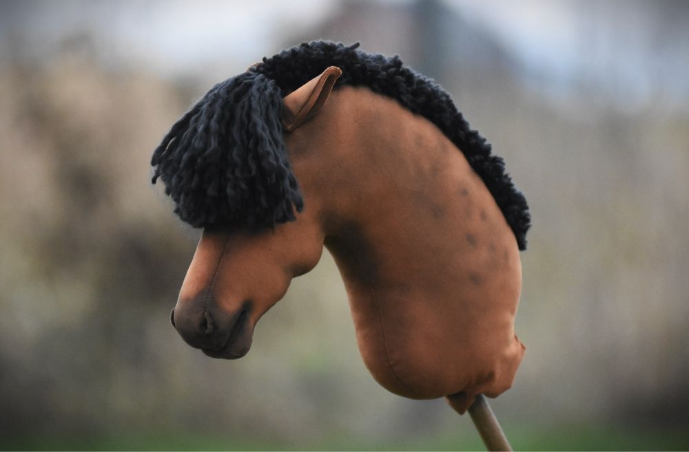 Hobby horse by aternon
