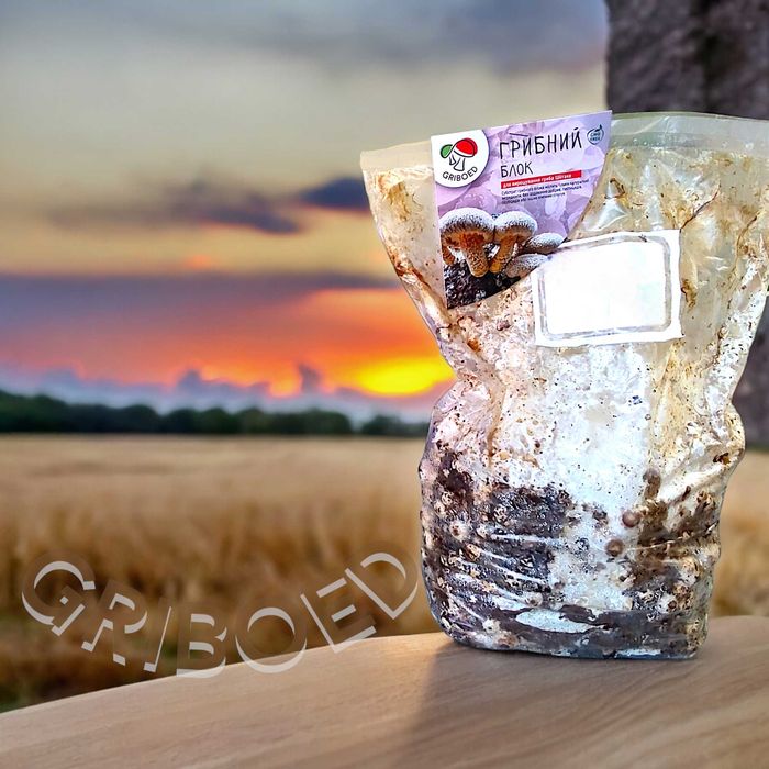 2 грибных блока ШИИТАКЕ. Выращивайте дома ПОЛЕЗНЫЕ ГРИБЫ, это просто!