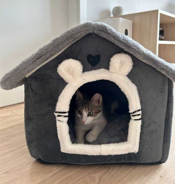 Domek dla kota małego psa legowisko pluszowe wygodne ciepłe prezent