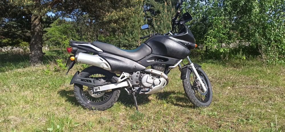 Suzuki xf 650 freewind