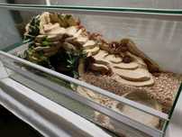 Terrarium dla żółwia greckiego, stepowego, TW10Ż, AquaWaves