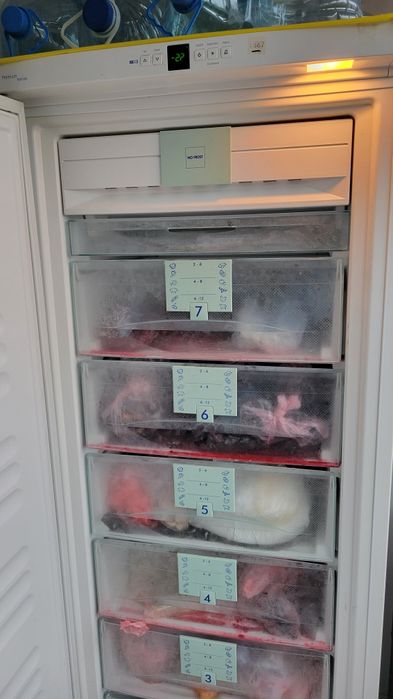 Морозильная камера б/у Либхер Liebherr 7ящ 185см No Frost 320л