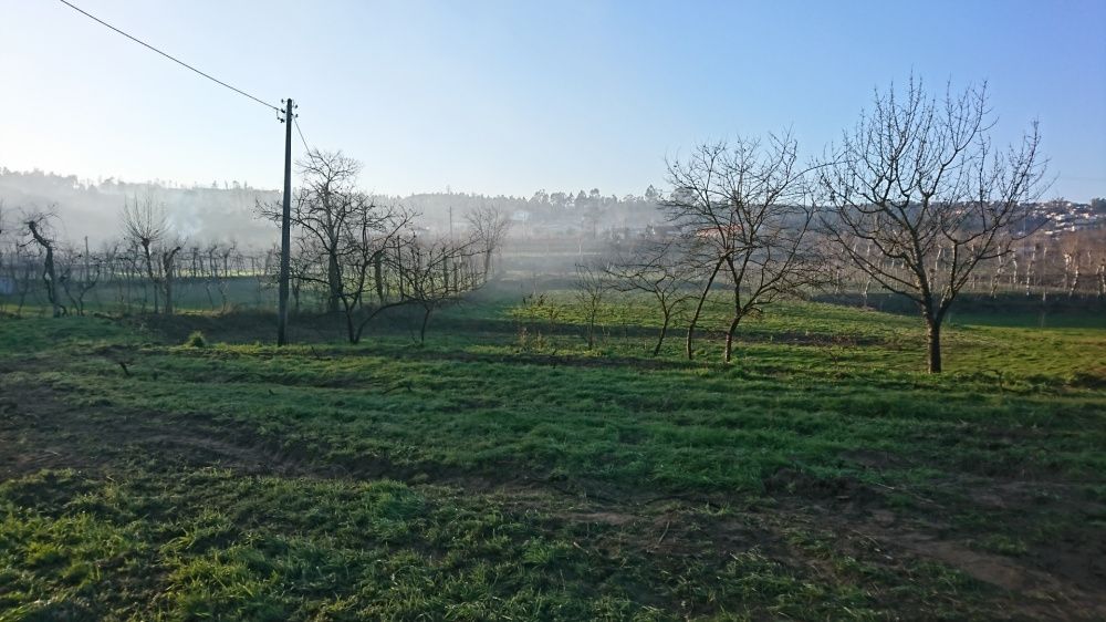 Arrendo parcelas de terreno,diversas dimensões.