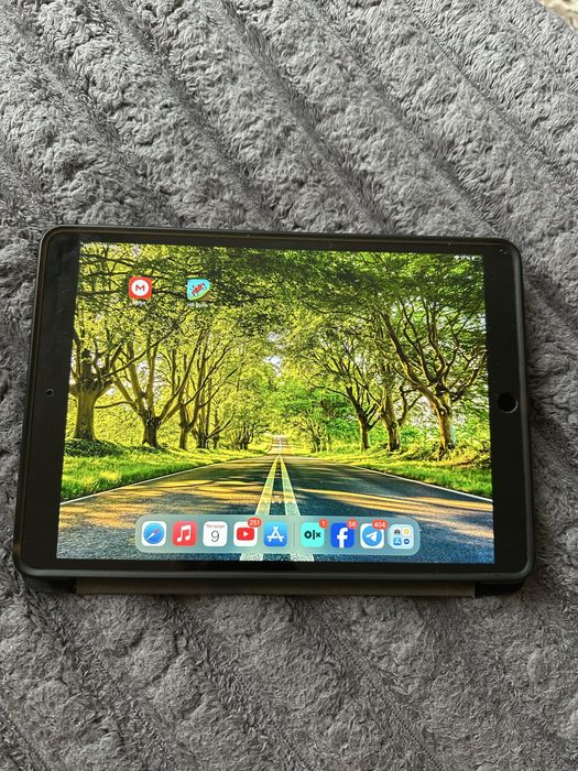 Ipad Pro 2017 10,5  256 gb. 120 герц,