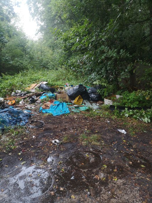 Sprzątanie, rozbiórki, wywóz, skuwanie, demontaż.