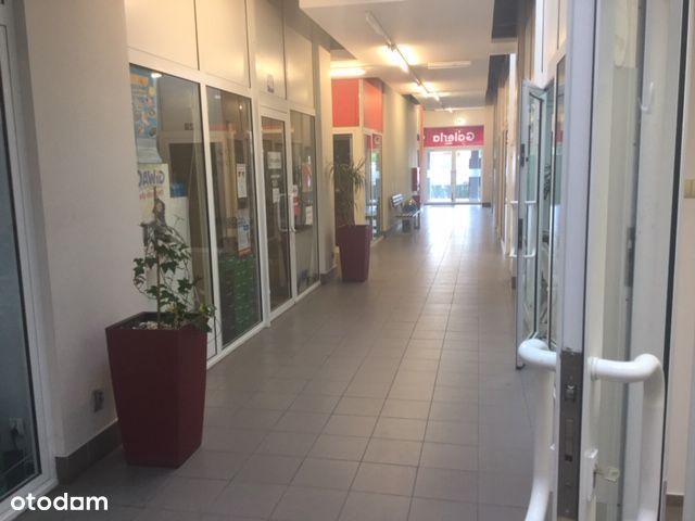 Lokal użytkowy 18m2 Światowida 49