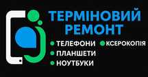 Терміновий ремонт