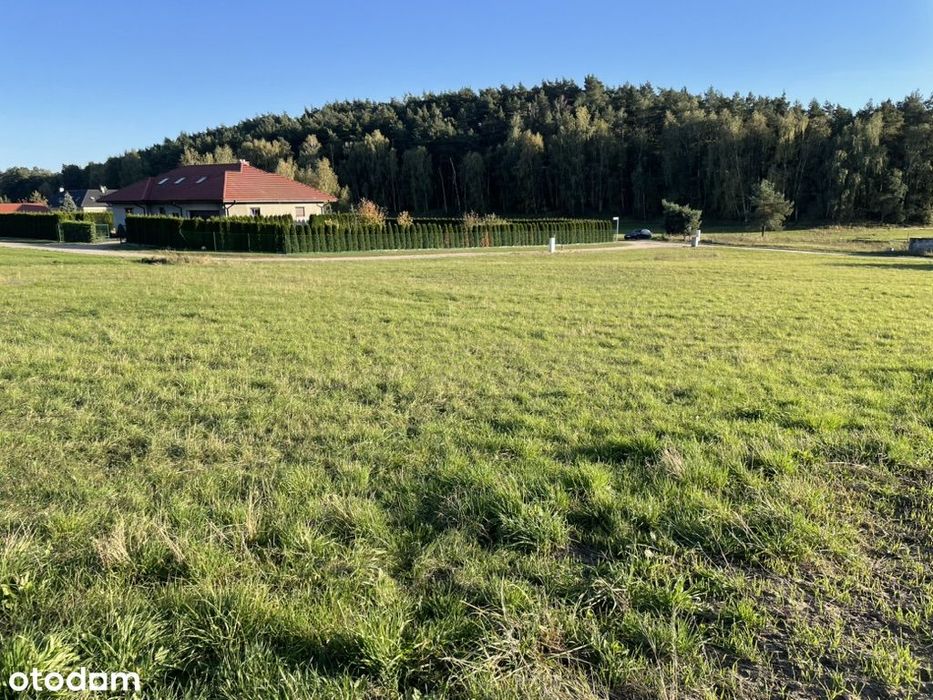 Bezpośrednio - duża działka budowlana w spokojnych Lisówkach