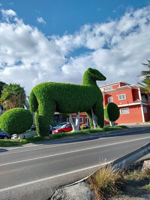 WYCINKA DRZEW i prace porzadkowe. Myce  Dachów i elewacji