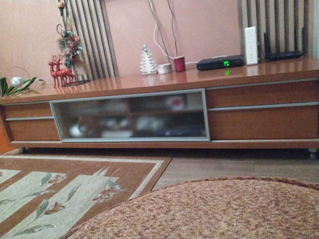 szafka RTV 224/48/59