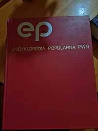 Encyklopedia PWN