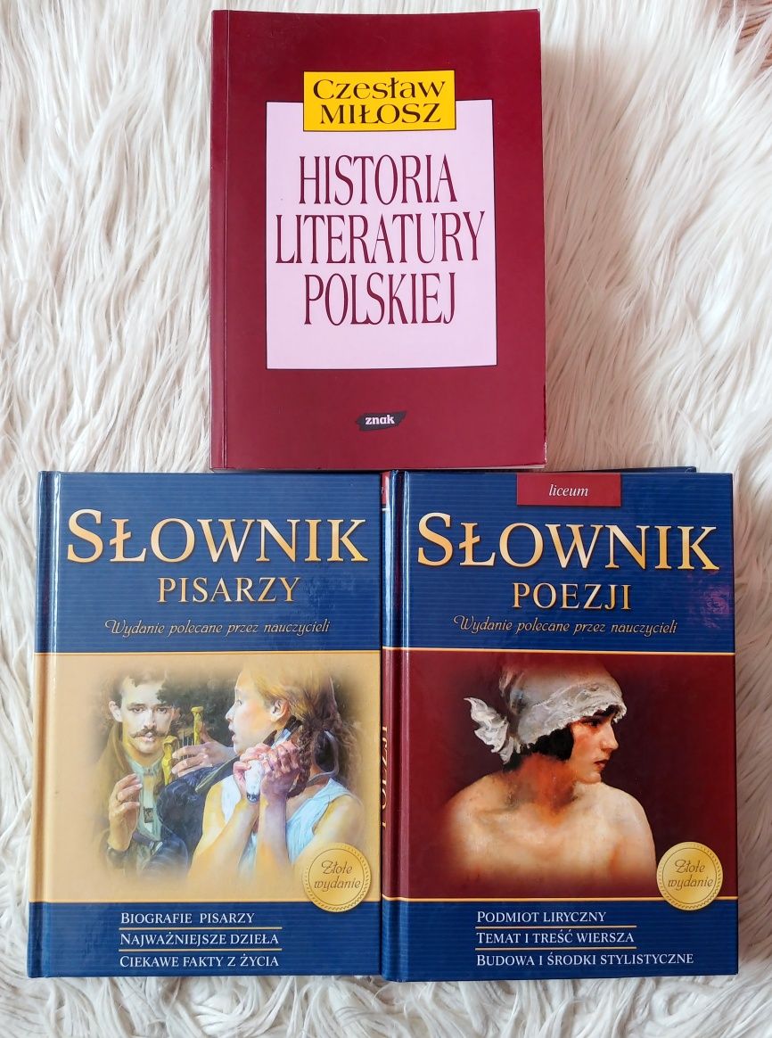 Słowniki, Historia literatury polskiej