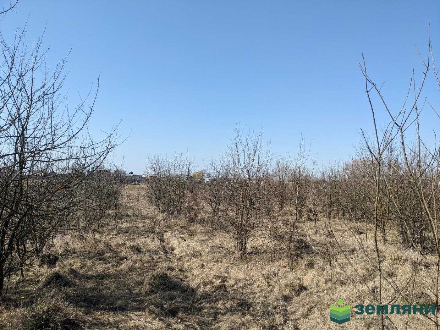 Продаж землі під житлову забудову, 10 соток м.Тисмениця