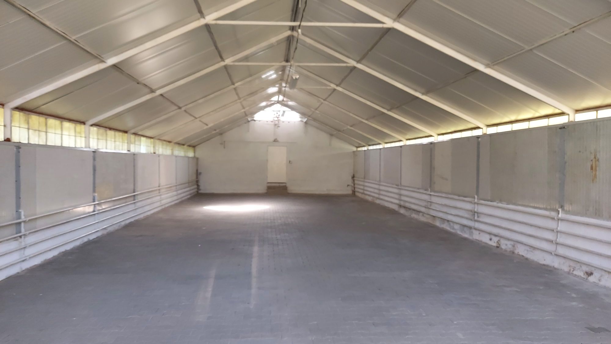 Lokal na magazyn 250m²