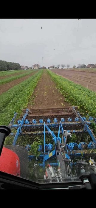 Usługi rolnicze siew kukurydzy zbóż bezorkowa zbiór kombajnem prasą