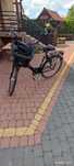 Rower treningowy KTM life seven damka