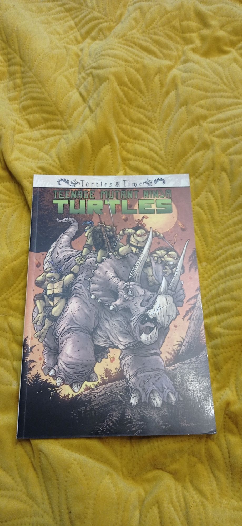 Teenage mutant ninja Turtles Turtles in time komiks
