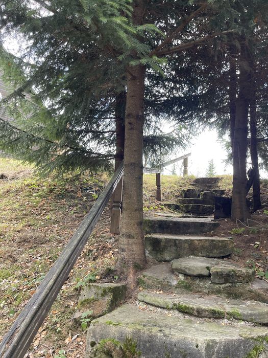 Котедж Білий Гриб