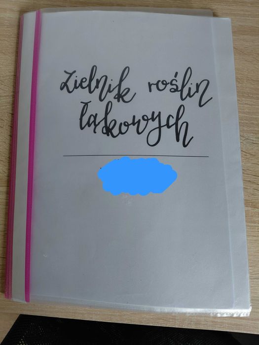 Zielnik roślin łąkowych z opisami