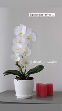 Орхідея із латексу