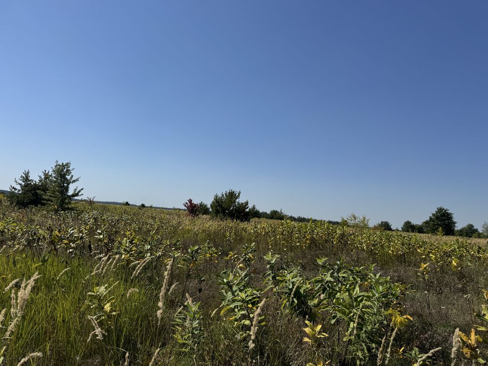 Продаж земельної ділянки, Горбовичі, біля лісу, 5 га