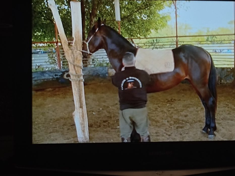 TV Samsung 32 polegadas