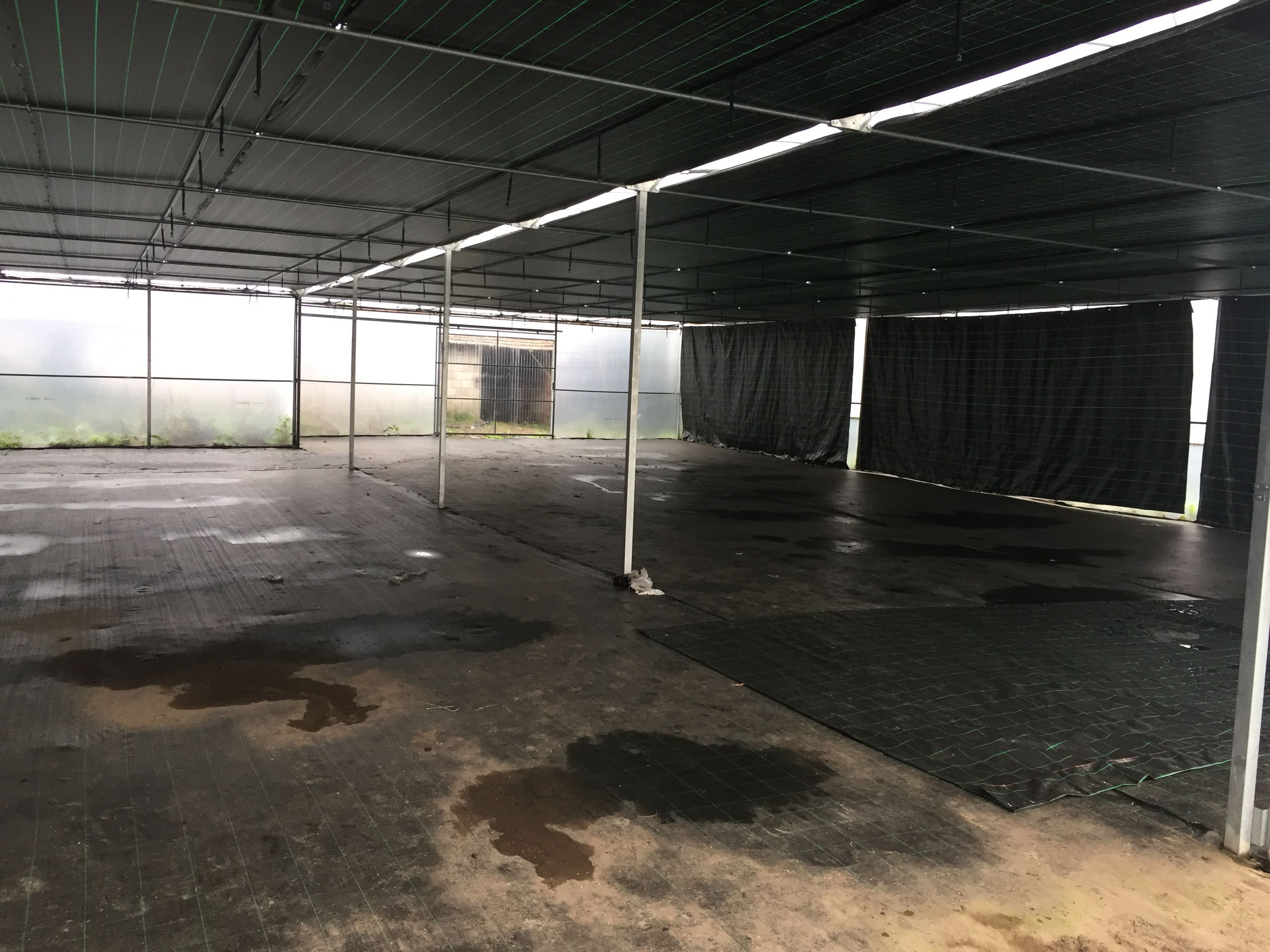 Estufas agrícolas (1000m2)