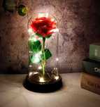 БОЛЬШАЯ! Роза в колбе Love Stories Roses с LED подсветкой, 20 см