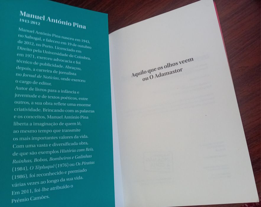 Aquilo que os olhos não veem ou O Adamastor