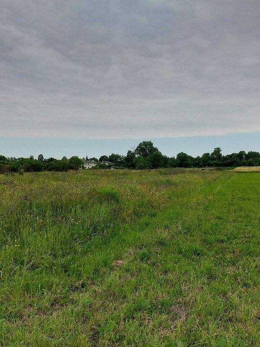 Продаж земельної ділянки с Підберізці