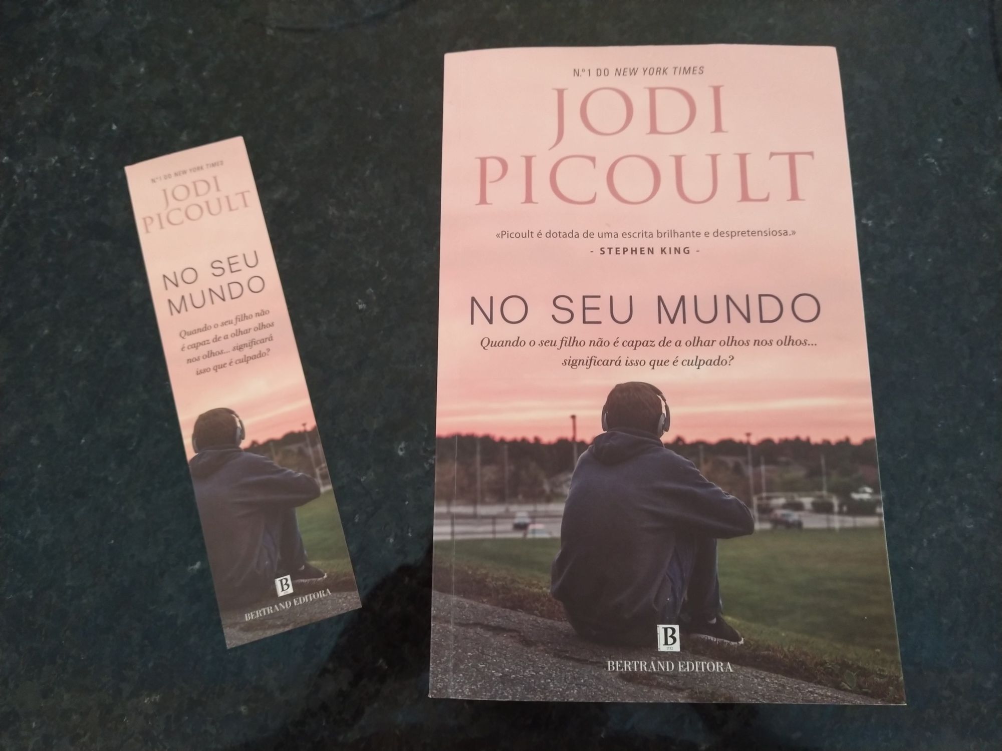 Livro de Jodi Picoult, No seu mundo