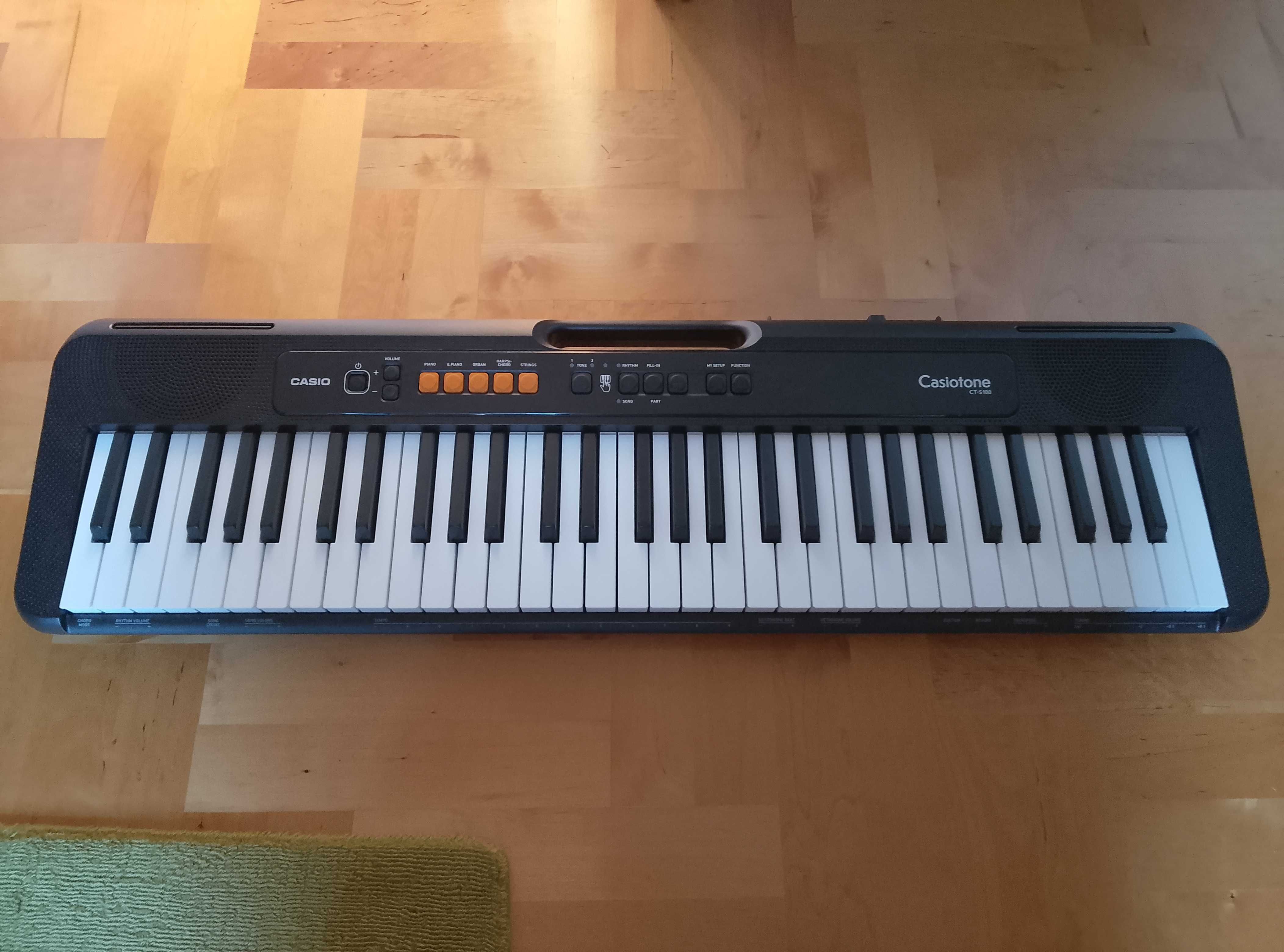 Casio CTS100 Keyboard